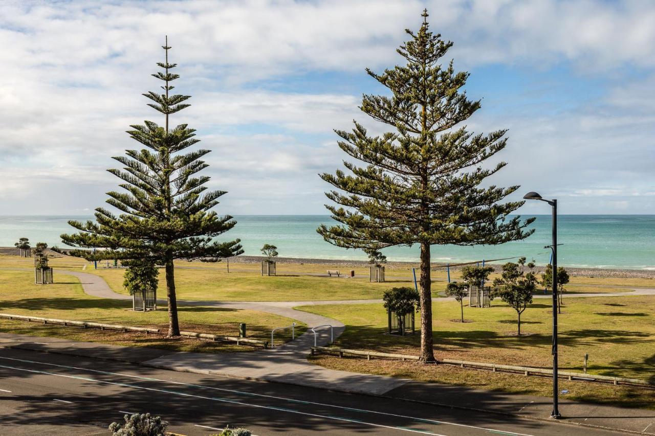 Pebble Beach Motor Inn Napier Exterior photo Araucaria columnar